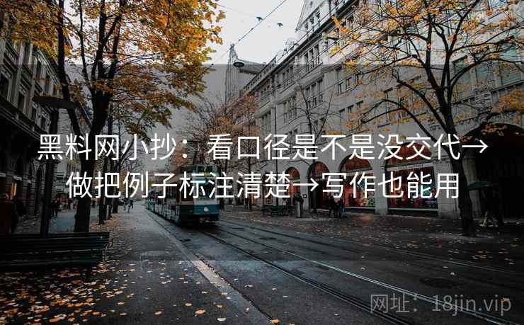 黑料网小抄：看口径是不是没交代→做把例子标注清楚→写作也能用